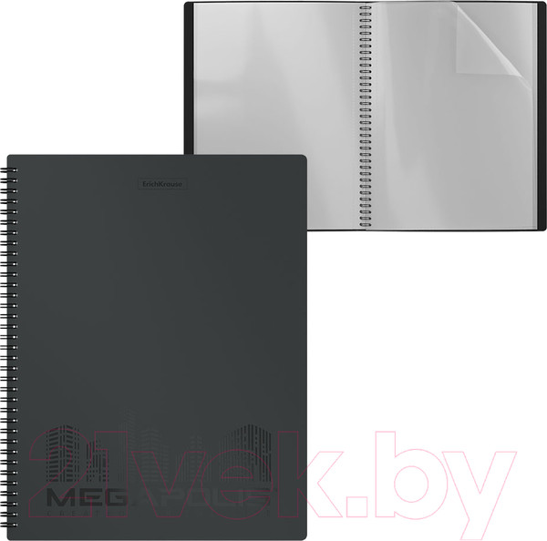 Изображение товара Папка для бумаг Erich Krause Megapolis / 50512