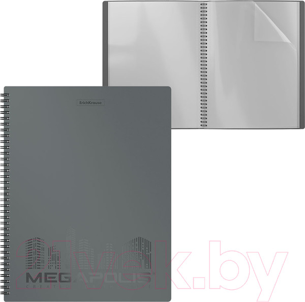 Изображение товара Папка для бумаг Erich Krause Megapolis / 49956