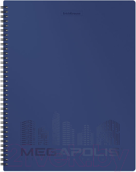 Изображение товара Папка для бумаг Erich Krause Megapolis / 49957