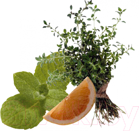 Изображение товара Гольфы компрессионные Aries Avicenum 140 плотные с закрытым носком / 9999 (S, normal)