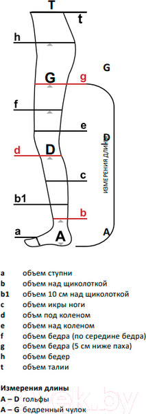 Изображение товара Чулки компрессионные Aries Avicenum 360 с резинкой и открытым носком / 9999 (XL, normal)