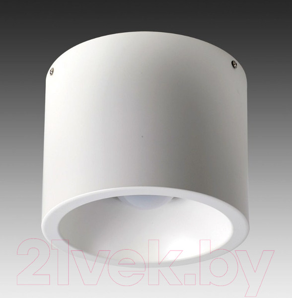 Изображение товара Точечный светильник FAVOURITE Reflector 1993-1C