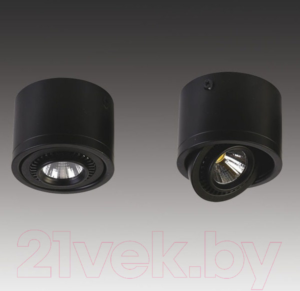 Изображение товара Точечный светильник FAVOURITE Reflector 1778-1C