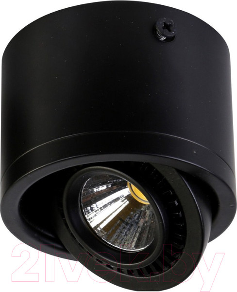 Изображение товара Точечный светильник FAVOURITE Reflector 1778-1C