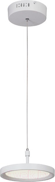 Изображение товара Потолочный светильник Ozcan V4603-0/1S