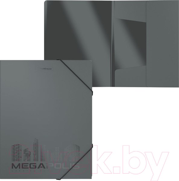 Изображение товара Папка для бумаг Erich Krause Megapolis / 50394