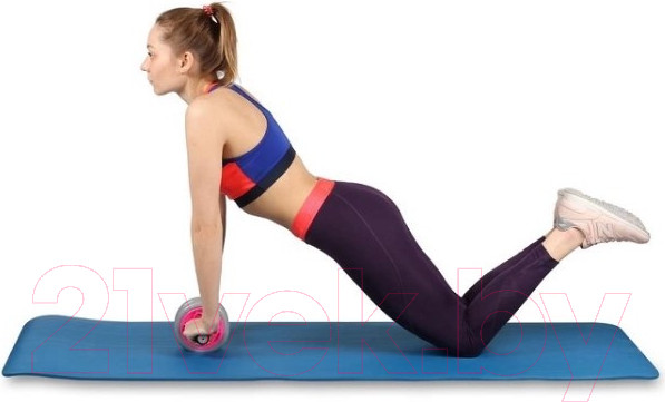 Изображение товара Ролик для пресса Indigo Sport SM-342 (серый/розовый)