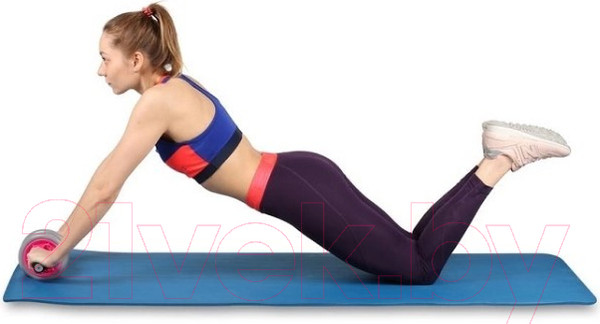 Изображение товара Ролик для пресса Indigo Sport SM-342 (серый/розовый)