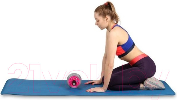 Изображение товара Ролик для пресса Indigo Sport SM-342 (серый/розовый)