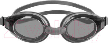 Изображение товара Очки для плавания Mad Wave Nova (серый)