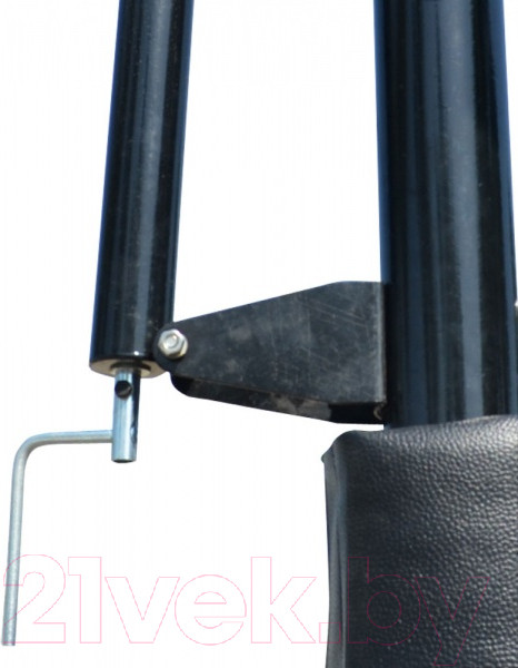 Изображение товара Баскетбольный стенд DFC STAND56P (143x80см)