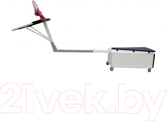 Изображение товара Баскетбольный стенд DFC STAND56SG (143x80см)