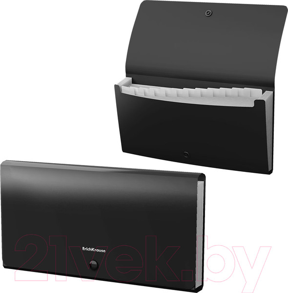 Изображение товара Папка-конверт Erich Krause Matt Classic / 47236