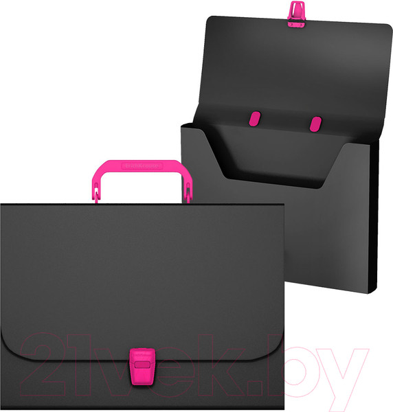 Изображение товара Папка-портфель Erich Krause Matt Accent / 50439