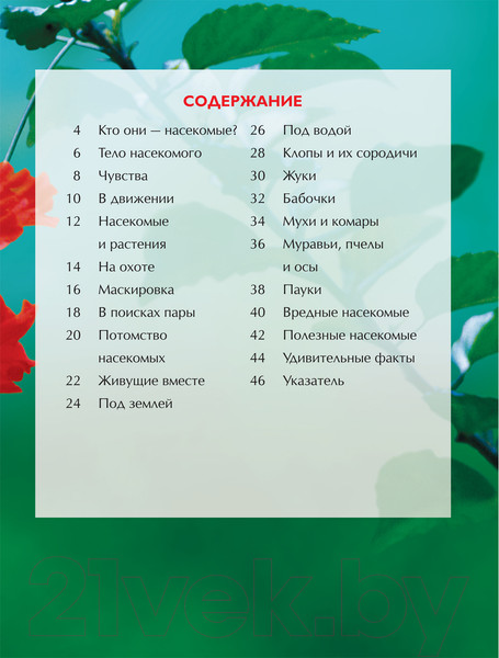 Изображение товара Энциклопедия Росмэн Насекомые. Детская энциклопедия