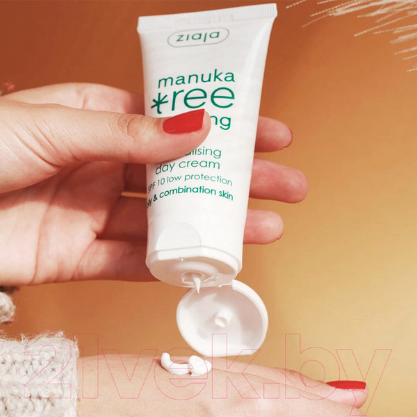 Изображение товара Крем для лица Ziaja Manuka Tree дневной нормал. для жирной и комбинир. кожи SPF10 (50мл)