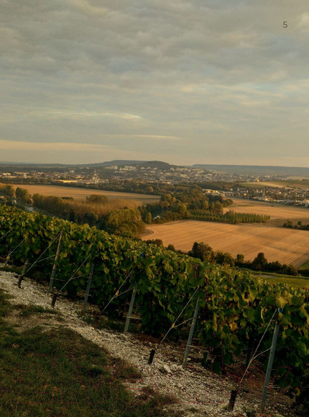 Изображение товара Книга Эксмо Франция. Лучшие Шато и домены (Кирилин И.)