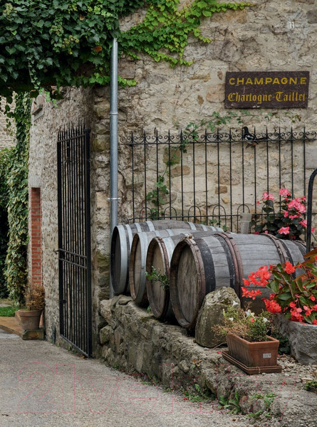 Изображение товара Книга Эксмо Франция. Лучшие Шато и домены (Кирилин И.)