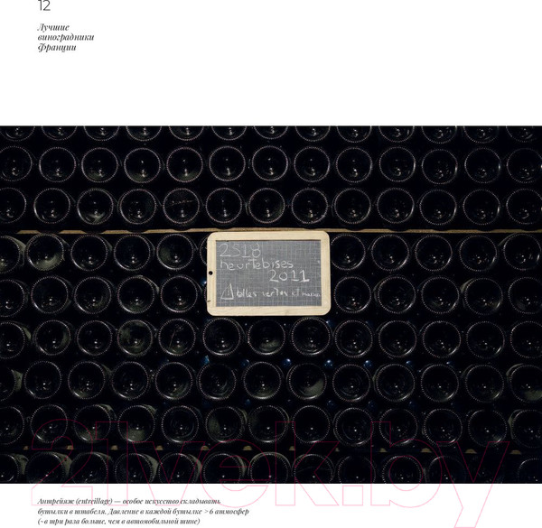 Изображение товара Книга Эксмо Франция. Лучшие Шато и домены (Кирилин И.)