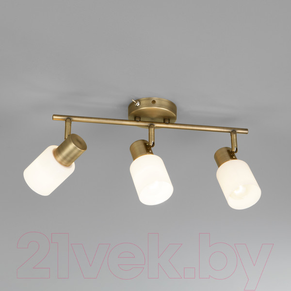 Изображение товара Спот Евросвет Corso 20089/3 (бронза)