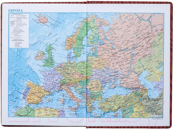 Изображение товара Ежедневник Hatber Ляссе Zebra / 176Ед5-04813 (бежевый)