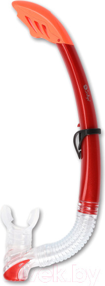 Изображение товара Трубка для плавания Indigo Sport IN062 (красный)