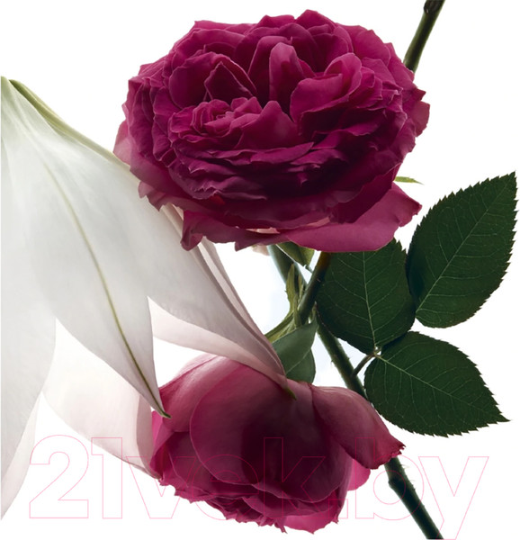 Изображение товара Парфюмерная вода Yves Saint Laurent Mon Paris Intensement for Woman (30мл)