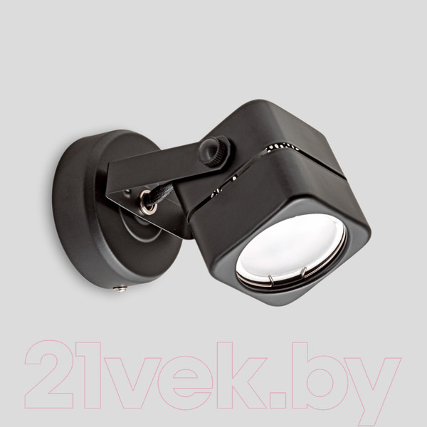 Изображение товара Спот Imex IL.0005.0100