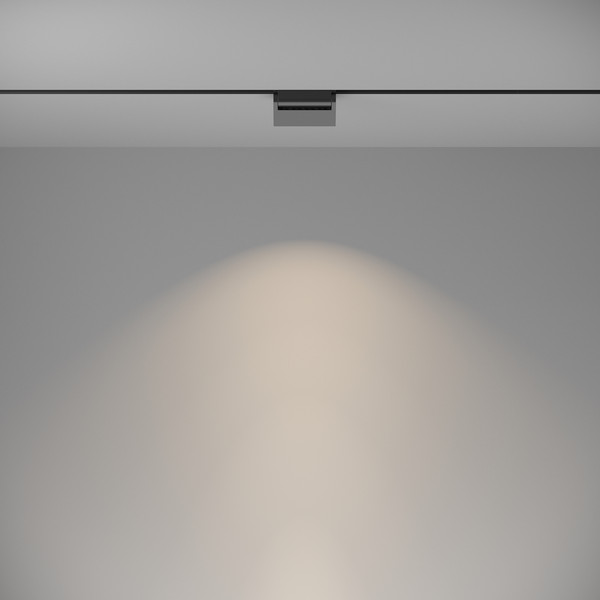 Изображение товара Трековый светильник Maytoni TR013-2-10W4K-B