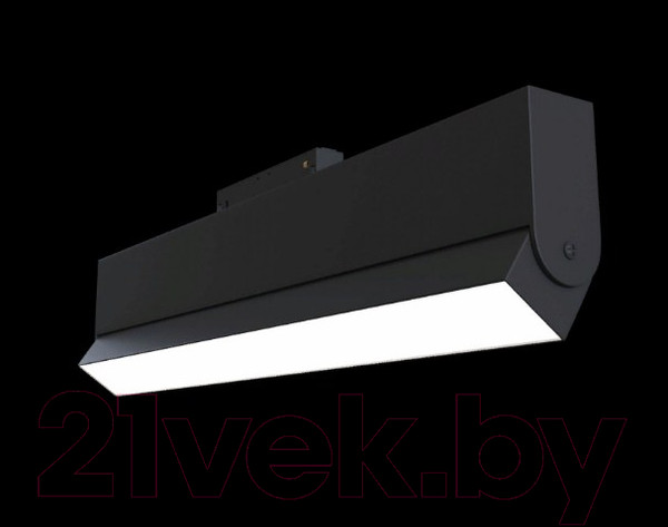 Изображение товара Трековый светильник Maytoni TR013-2-20W4K-B
