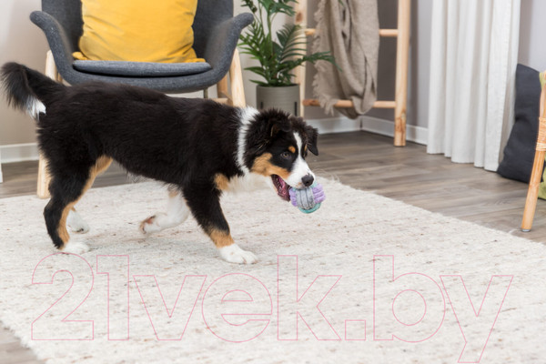 Изображение товара Игрушка для собак Trixie 32810