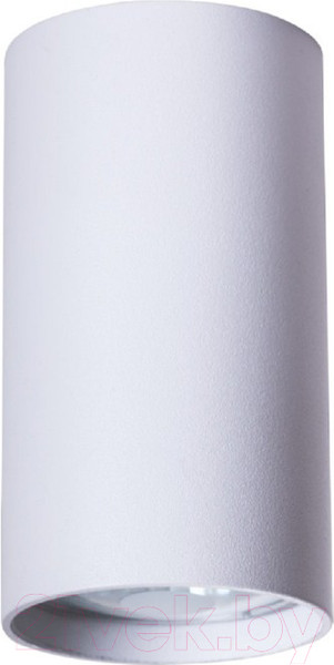 Изображение товара Потолочный светильник Arte Lamp Canopus A1516SP-1WH