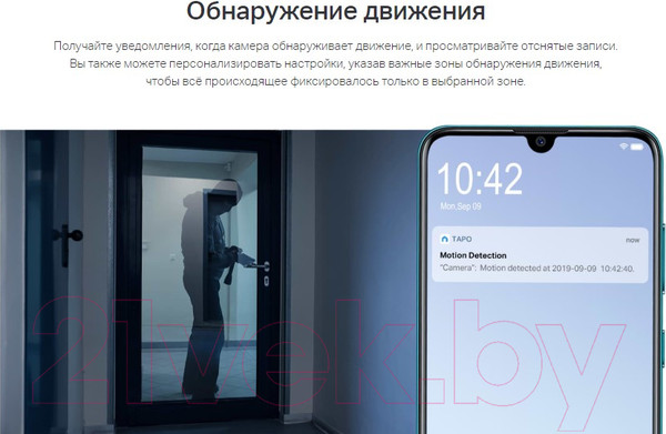 Изображение товара IP-камера TP-Link Tapo C100