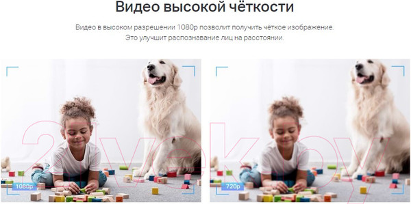 Изображение товара IP-камера TP-Link Tapo C100