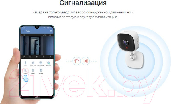 Изображение товара IP-камера TP-Link Tapo C100