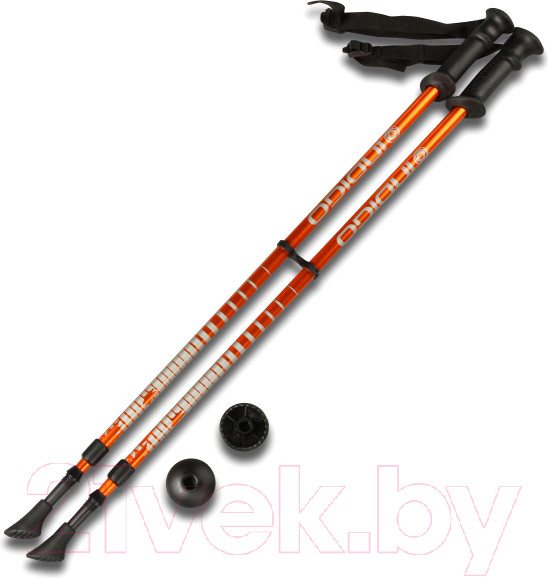 Изображение товара Палки для скандинавской ходьбы Indigo Sport SL-1-2 (оранжевый)