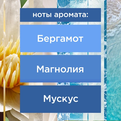 Изображение товара Сменный блок для освежителя воздуха Glade Automatic Лазурная волна и магнолия (269мл)