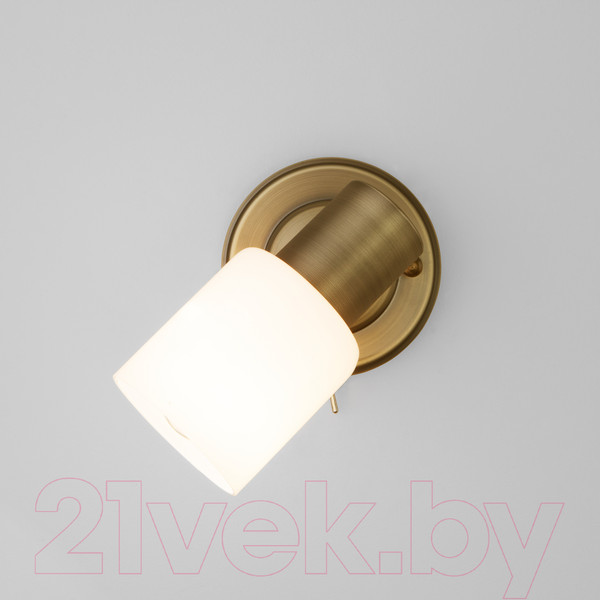 Изображение товара Спот Евросвет Corso 20089/1 (бронза)