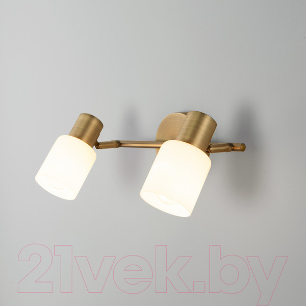 Изображение товара Спот Евросвет Corso 20089/2 (бронза)