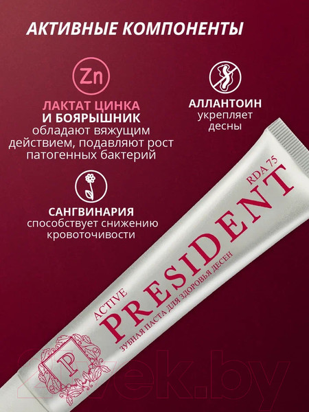 Изображение товара Зубная паста PresiDent Active (75мл)