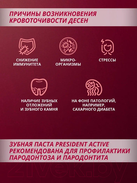 Изображение товара Зубная паста PresiDent Active (75мл)