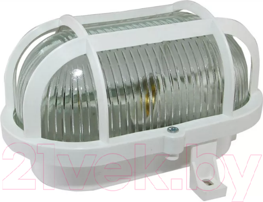 Изображение товара Светильник ЖКХ TDM НБП 02-60-019.01 Евро корпус (металлическая сетка, белый)