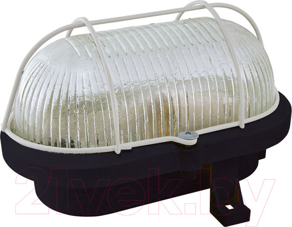 Изображение товара Светильник ЖКХ TDM НБП 02-60-019.01 Евро корпус (металлическая сетка, черный)