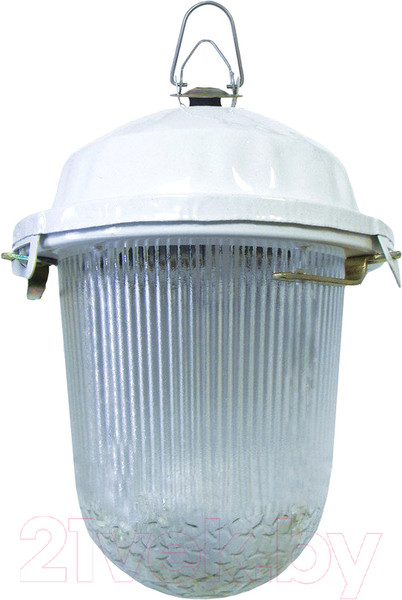 Изображение товара Светильник для подсобных помещений TDM НСП 02-100-001.01 У2 (без решетки, стекло, крюк)