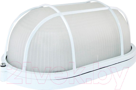 Изображение товара Светильник ЖКХ TDM НПБ1202 100Вт IP54 (белый, овал с решеткой)