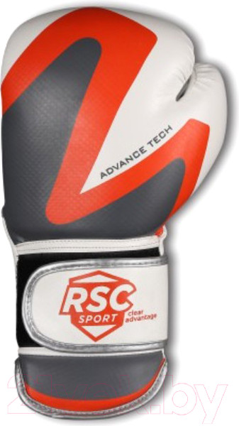 Изображение товара Боксерские перчатки RSC PU 2t c 3D 2018-3 (р-р 10, белый/серый)
