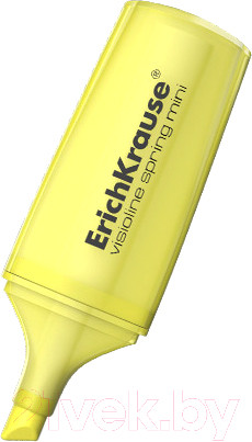 Изображение товара Текстовыделитель Erich Krause Visioline Mini Spring / 48786