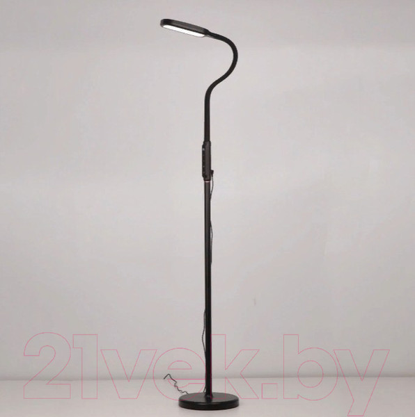 Изображение товара Торшер Citilux Марк CL804021