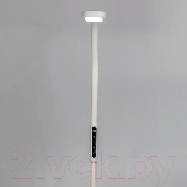 Изображение товара Торшер Citilux Марк CL804020