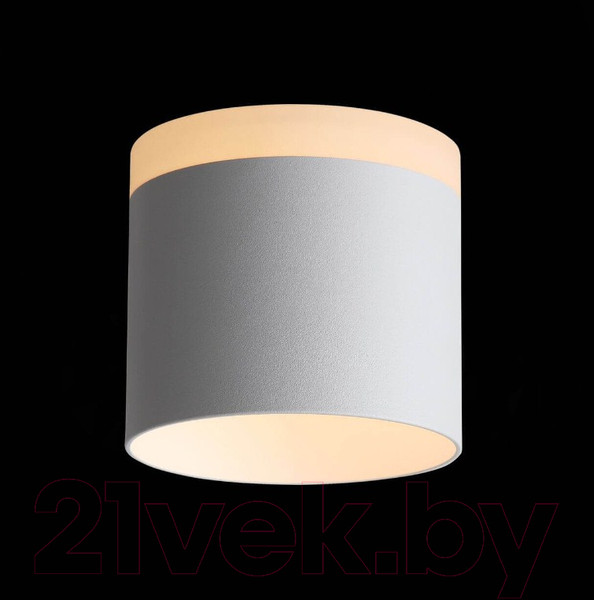 Изображение товара Потолочный светильник ST Luce Panaggio ST102.502.12